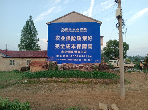 娄底墙体广告的优劣势你知道吗？