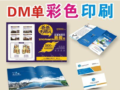 娄底单页印刷，色彩搭配简单。